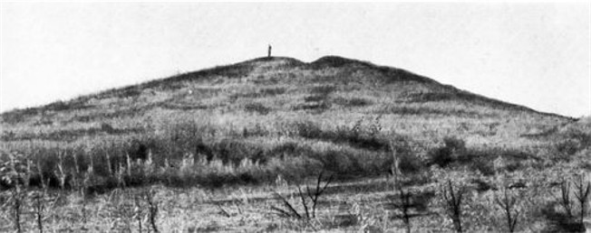 Image - A view of the Haimanova Mohyla kurhan (prior to excavations).